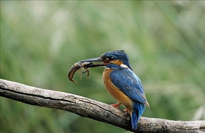 学长惩罚我下面放震蛋上课｜趣味互动，轻松启航：探索‘下面放震蛋上课’的奇妙学习之旅-4