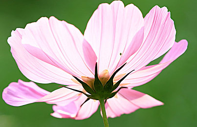 少妇被男按摩师按到高潮｜按摩风云：隐私边界与心灵救赎-4