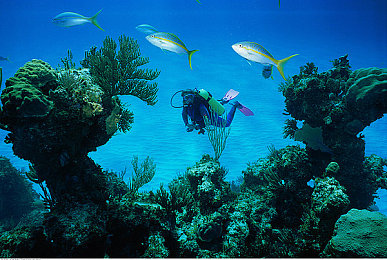 男生女生一起差差app｜打破性别界限，引领潮流：揭秘“男生女生一起差差app”如何成为社交新宠-3