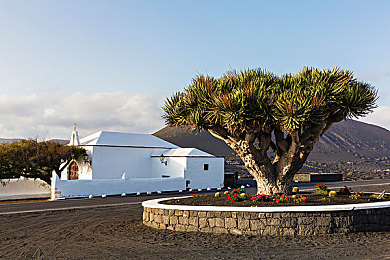 1137大但人文艺术｜探寻1137大但秘境，古韵重现寻宝记-2