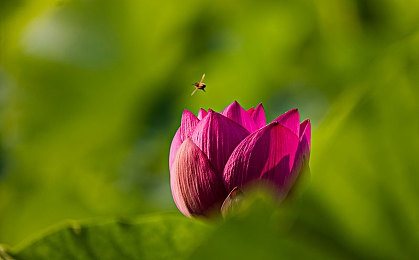 黄色软件2025｜清朗网络未来，共筑无“黄”防线-1