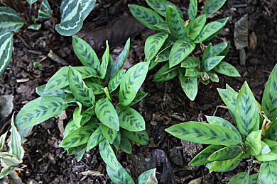 未成年禁止入内｜公共场所安全护航：未成年禁入举措，共筑健康成长环境-2