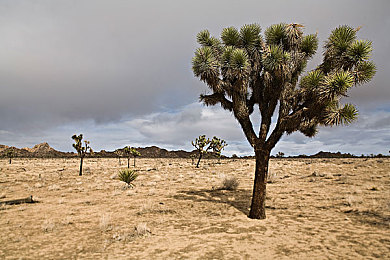 怪物做爰3d动漫成人｜奇幻立体，情感共鸣：探索3D动漫成人世界-2