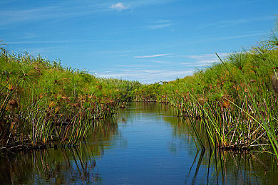 我的世界珍妮1.8+吃萝卜网站｜《我的世界》探险乐园：珍妮1.8+萝卜奇境，畅游奇幻之旅