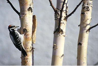 汤姆叔叔最新地域境外网名2023 192.168.0.1｜网络隐私之旅：192.168.0.1的数字足迹探索-4