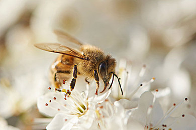 51吃瓜朝阳群众路线莫里秀｜网络热词背后的社会画卷：从“51吃瓜朝阳群众路线莫里秀”看文化现象与治理创新-2