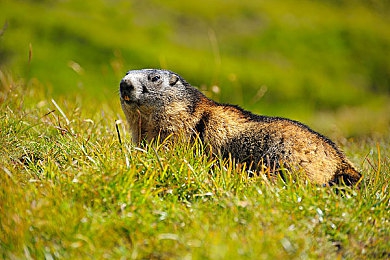 家庭监控50部小视频｜隐私漩涡中的家庭监控：50部视频引发伦理大讨论-3