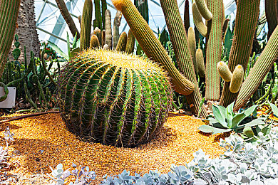 欧美黑人又粗又大的性格特点|粗犷热情,黑白碰撞:探寻欧美黑人魅力之旅-4