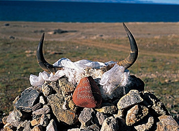 色多多免费下载|奇幻冒险之旅:色多多免费下载,解锁无尽乐趣-2