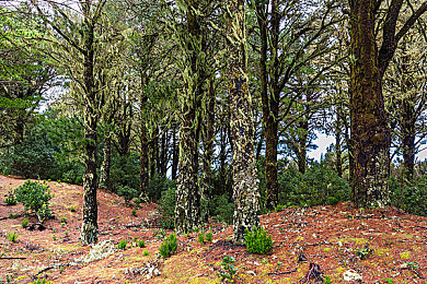 特别的体检小雨|“智能体检新风尚,小雨助力健康守护之旅”-1