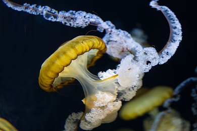 午夜商城|深夜购物新体验:揭秘24小时狂欢的午夜商城-4