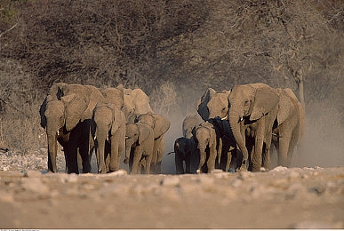 肉体奉仕木下凛凛子JUL878|成人影片的热议引发青少年性教育反思-2