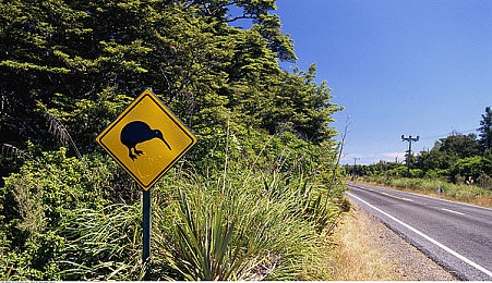 黄色游戏网站3.0.3免费oppo版大全装扮2023苹果｜免费游戏装扮应用“黄色游戏网站3.0.3”受热捧，用户好评如潮引争议-3