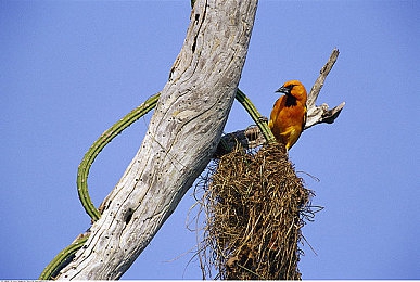 不良网站正能量｜网络角落正能量，唤醒心灵之光-5