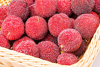 花季传禖每天三次免｜花海漫步，手工艺体验，美食盛宴，花季传禖每日三免奇幻之旅-3