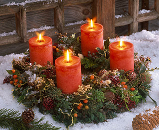 黄色软件免费看|揭露“免费陷阱”:网络色情软件风波引发全民关注-2