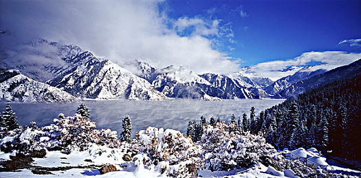 cg51.3fun｜幻影全息，未来娱乐，身临其境