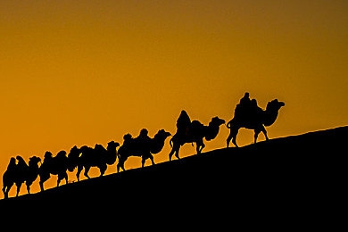 黄app软件下载大全免费下载安装|免费软件库:揭秘黄app,下载安全攻略-1