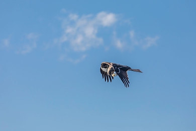 女同学裸体趴下光屁股挨打|校园暴力终结者:裸趴体罚事件警示录-3