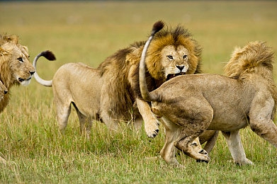 爸爸的朋友中汉字晋通话微信｜微信新篇章：汉字晋通话助力爸爸的朋友们跨越地域交流-5