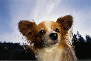 一个人的www|独享网络空间,探寻孤独中的成长与自我提升之旅-3