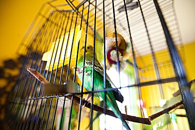 国产成人综合av｜成人文化探索之旅，触碰欲望的边界