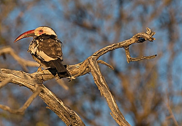国产色视频一区二区三区QQ号｜在线视频平台成人内容监管现状与用户反应分析-2