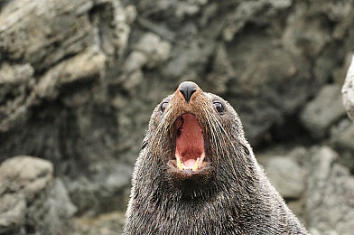 造孩子不盖被子视频|“裸睡风波再掀育儿安全潮,家庭教育亟待反思与强化”-4