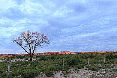 思思这里有精品|探寻精品奥秘,思思引领时尚生活之旅-4