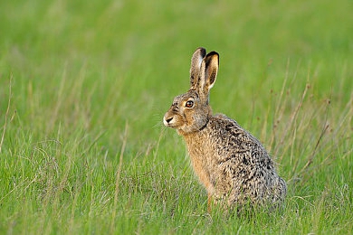 明里 都被c到高潮｜“明里都被C到高潮”：揭秘社会心理压力现象，共筑和谐生活-3
