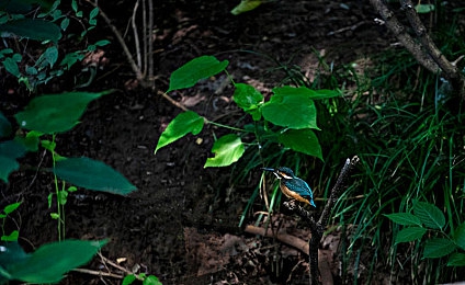 胸 啊 嗯～出奶了小｜“奶源助力，舒享生活——哺乳按摩神器，呵护女性健康之道”-4