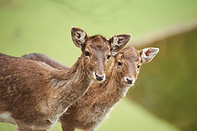 美女直播全婐APP免费下载美女夜色直播间|夜色盛宴,全婐APP点亮你的直播生活-3