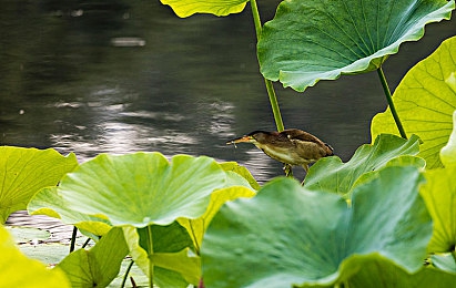 汤不热大剧院下载安卓最新版本｜汤不热大剧院新版本上线，畅享智能观影新体验-3