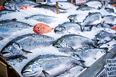 91黑料|探秘“91黑料”:娱乐八卦新阵地,轻松幽默尽享欢乐时光-2