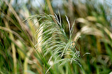 男女打扑克免费网站｜扑克竞技，乐享免费，安全护航，青春不沉迷-2