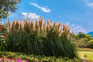 彩虹 Gay.com｜彩虹 Gay.com：同性恋主题游戏魅力绽放，情感之旅引人入胜-4