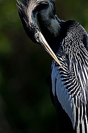 黄色软件app大全免费下载2023网站|揭秘暗网:抵制非法软件,守护清朗网络世界-2