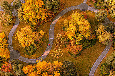 天涯色板免费版｜天涯色板免费版：创意无限，设计爱好者的色彩乐园-2