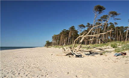 夜晚偷偷看B站直播｜夜深直播秘境，青春不设限-2