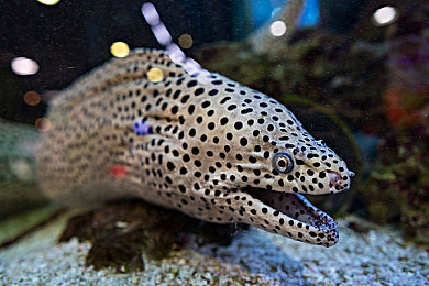 狠狠干综合｜焕新区域经济引擎：民生福祉与社会治理双提升的“狠狠干综合”实践-2