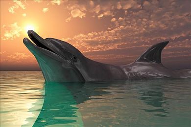 9.1抖音免费版pro旧款｜抖音9.1版Pro焕新升级，用户体验再飞跃-2