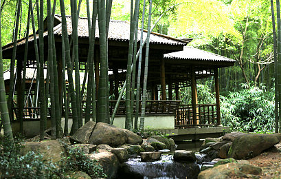 国产AV传媒｜性文化革新潮流下的道德与法律探索-5