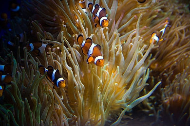 男C女|新时代“男C女”:跨界合作与创新精神引领潮流-2