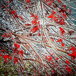 国产AV精国产传媒｜国产影视新生力量推动文化多元创新-1