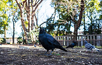 被女同学摁住玩弄小j j｜巧妙互动解锁亲密，探索“女同学玩弄小jj”的神秘魅力-4