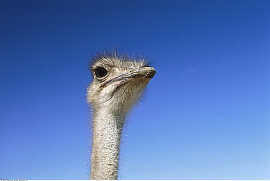 抖阳|抖阳养生之旅:探寻古韵今风健身奥秘-3