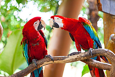 155fun官网怎么进入｜轻松一步畅游娱乐天地：揭秘155fun官网入门攻略-3