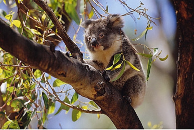 美女直播秀｜魅力直播秀场，互动娱乐新体验-3