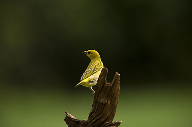 男同Gay男生自慰｜男同性恋者的秘密探索与心理之旅-2
