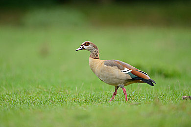 成免费的crm无需下载｜云CRM，高效管理，助力企业腾飞-2